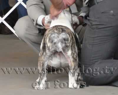 Clique sobre a foto para fechar